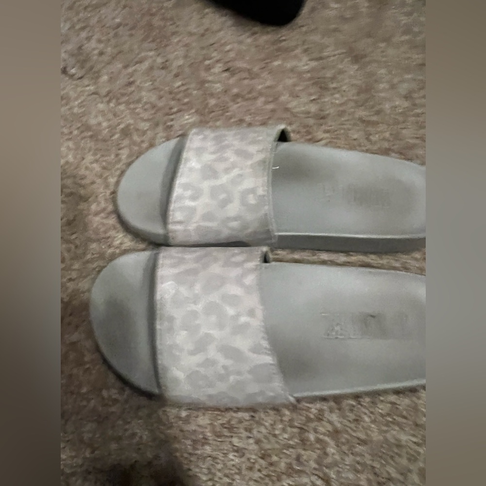 Cheetah slides